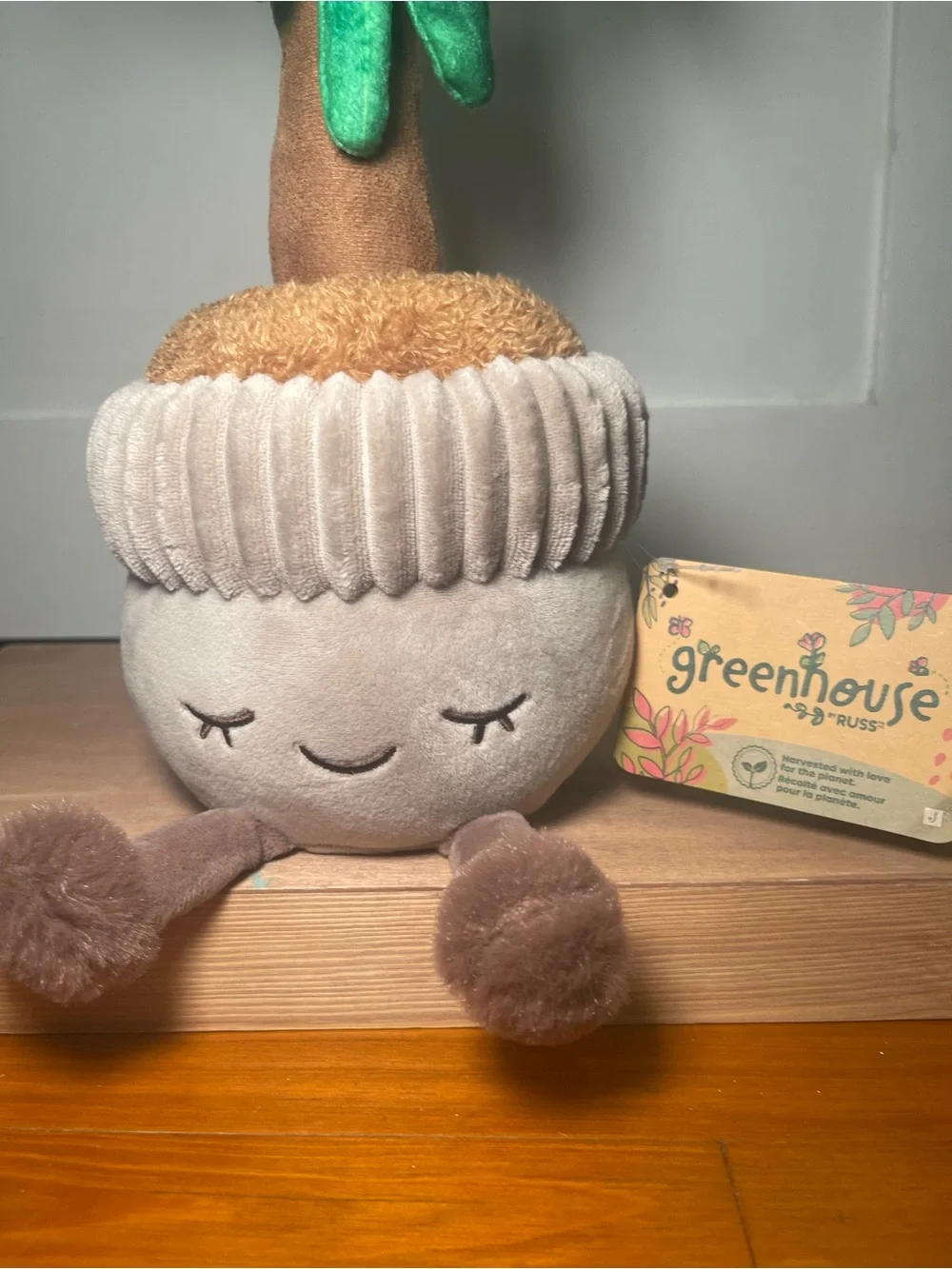 Greenhouse by Russ Money Tree Planter - Soft Green and Brown Cozy Décor
